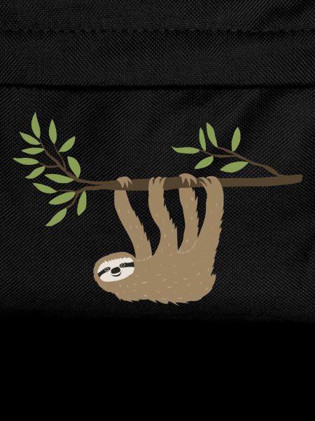 Sloth hanging around