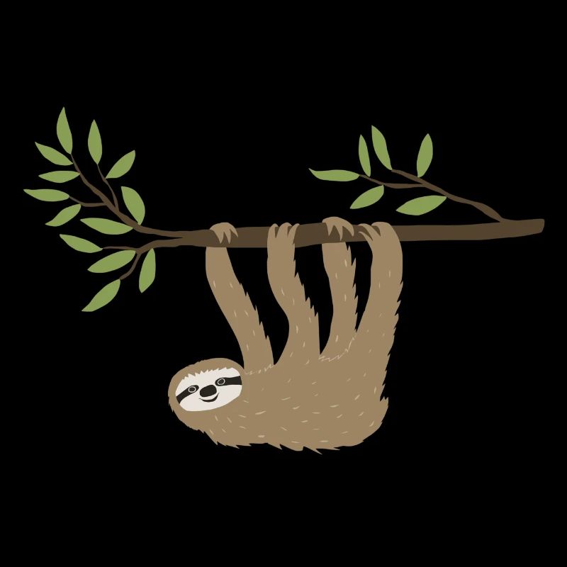 Sloth hanging around