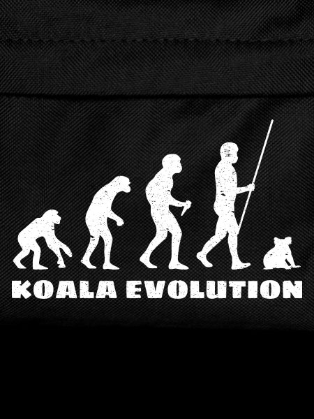 Évolution du koala