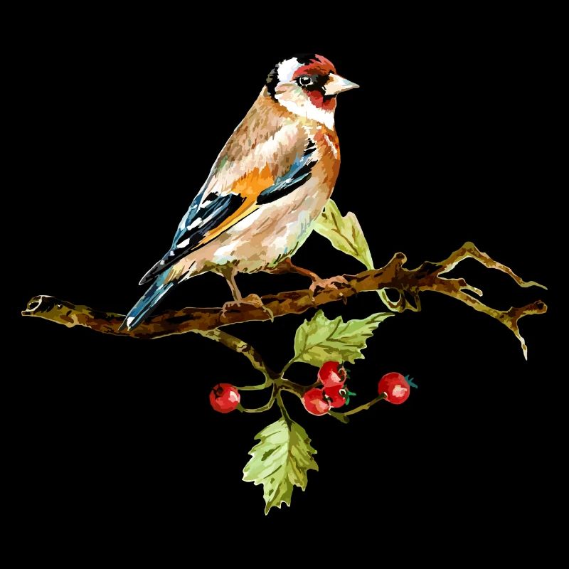 oiseau