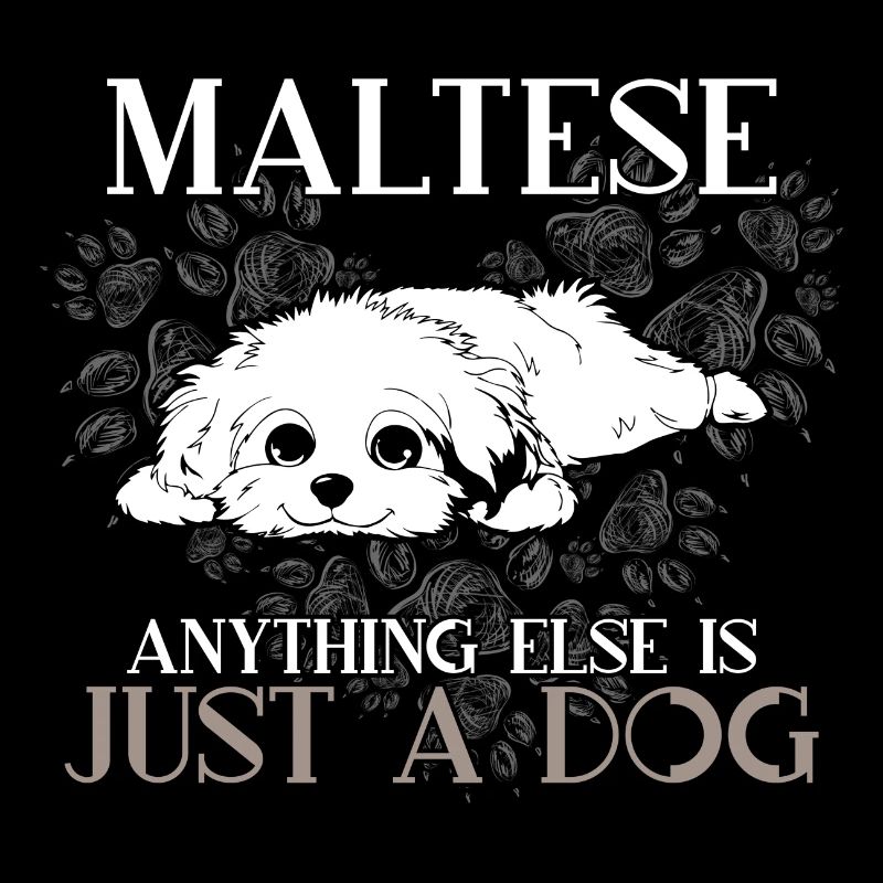 Maltese Anything Else Is Just A Dog