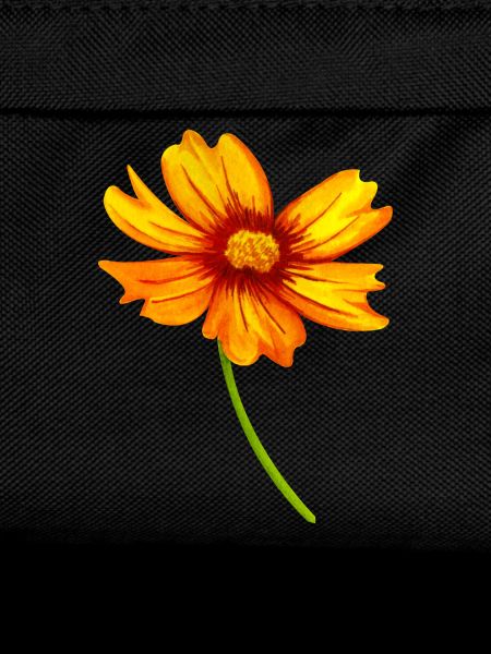 Blume