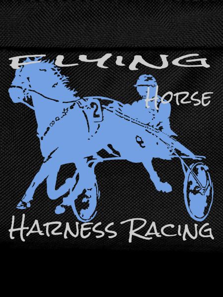 Trotter trotting race