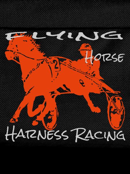 Trotter trotting race