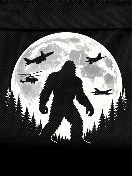 Bigfoot Airplanes