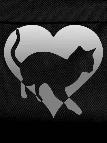 Cat kitten in a heart