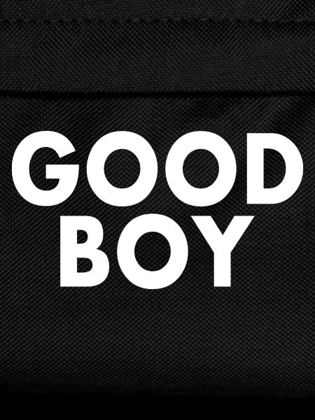 Good boy