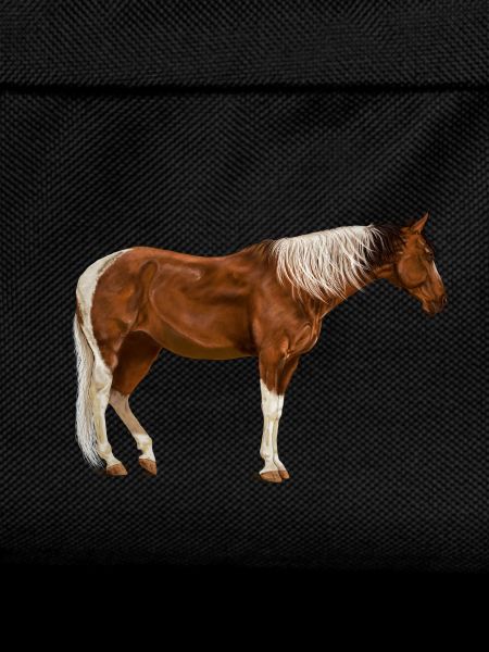 Horses horse
