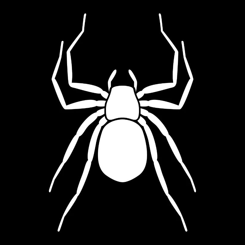 araignée