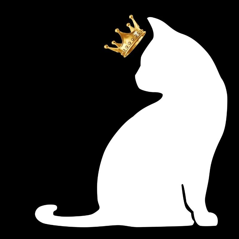 chat couronne