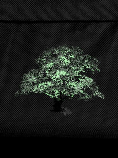 Oaktree