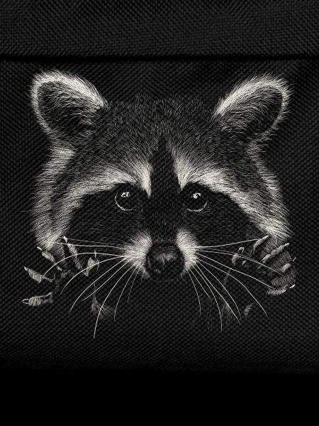 Waschbär