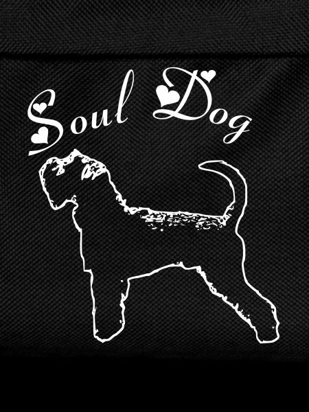 Schnauzer Soul dog