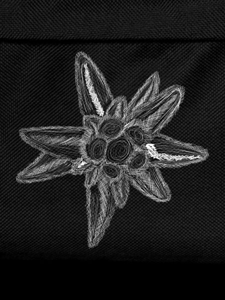 Edelweiss Fineline (White)