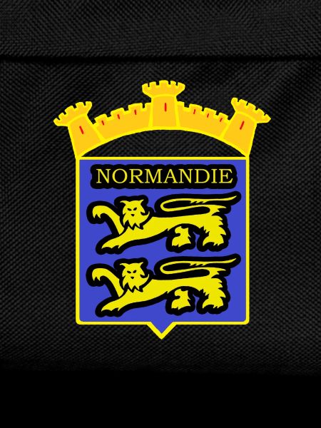 NORMANDY BADGE