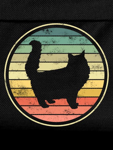 Cat Cats