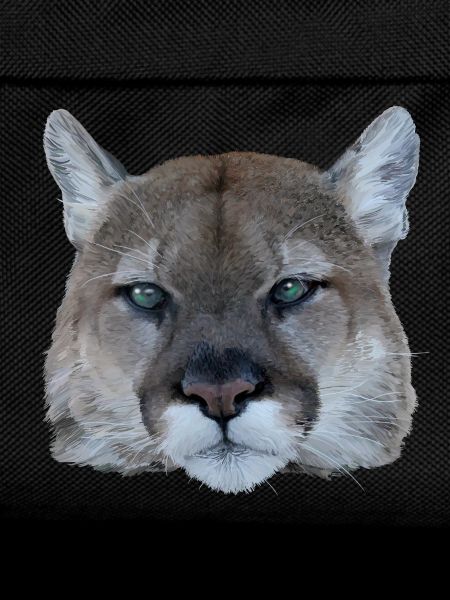Panther