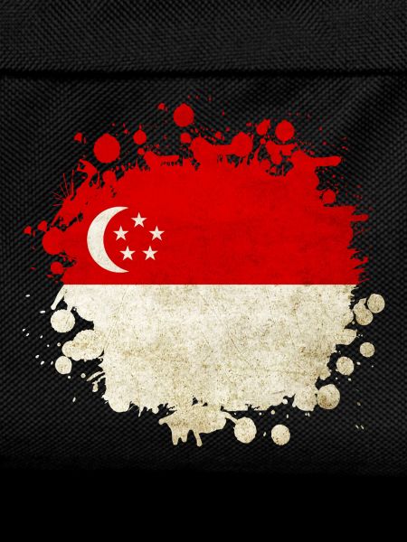 Singapore flag design