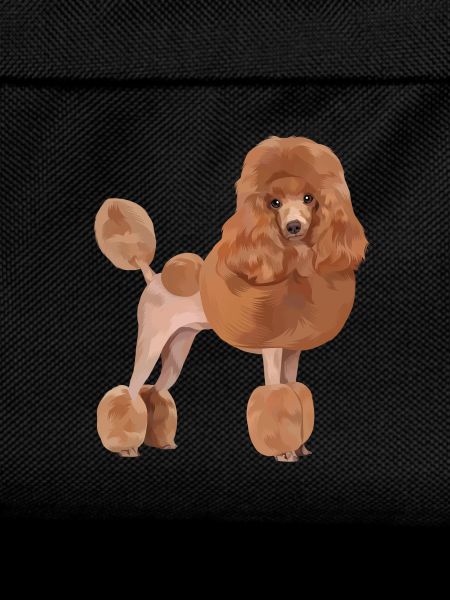 Standard Poodle Dog