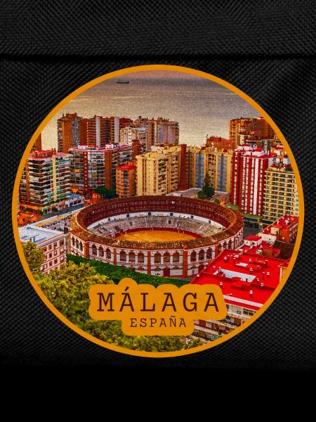 Malaga Bullring Panorama