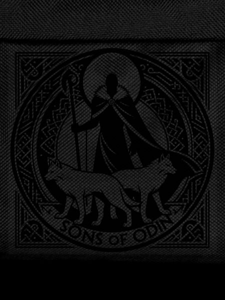 Sons of Odin