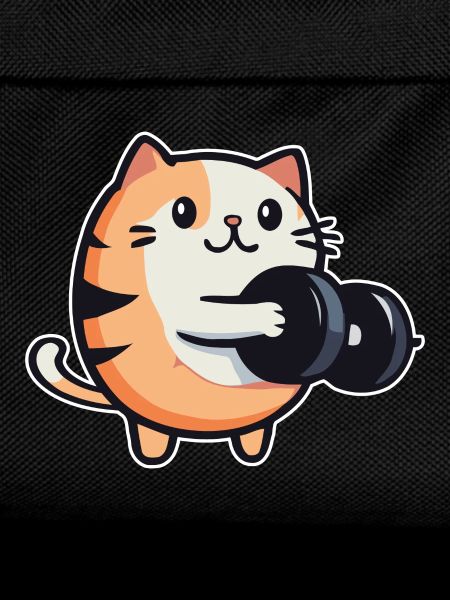 Funny cat with dumbbells fitness