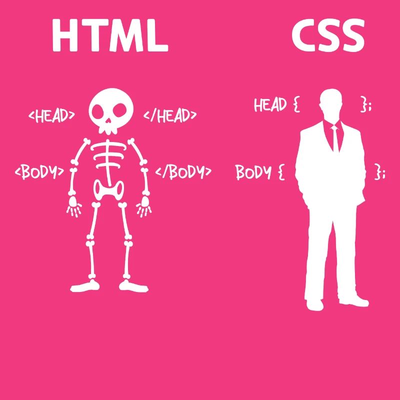 Code Css C++ Php Java Developer Code Skripting