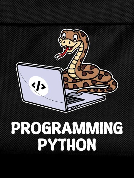 Skripting Programmierer Computer Debug Developer