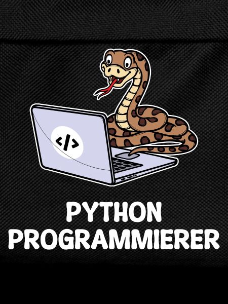 Developer Coden Statement Computer Programmer