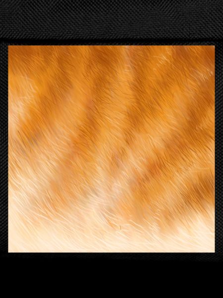 Red cat fur