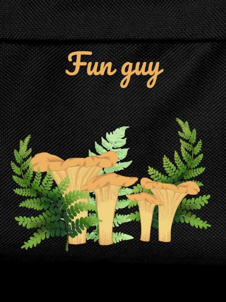 I'm a fun guy