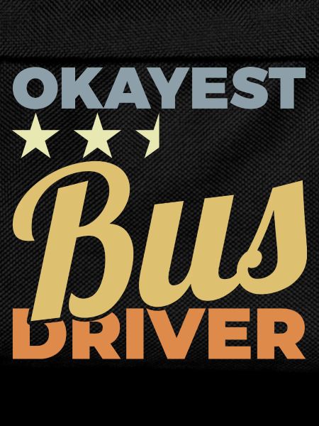 Average bus driver