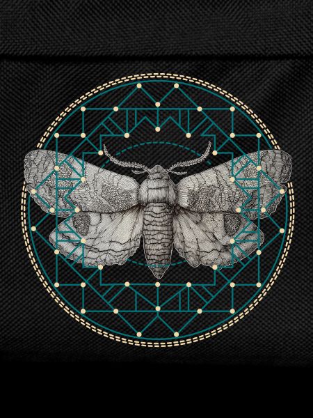 Moth Sacred Geometry