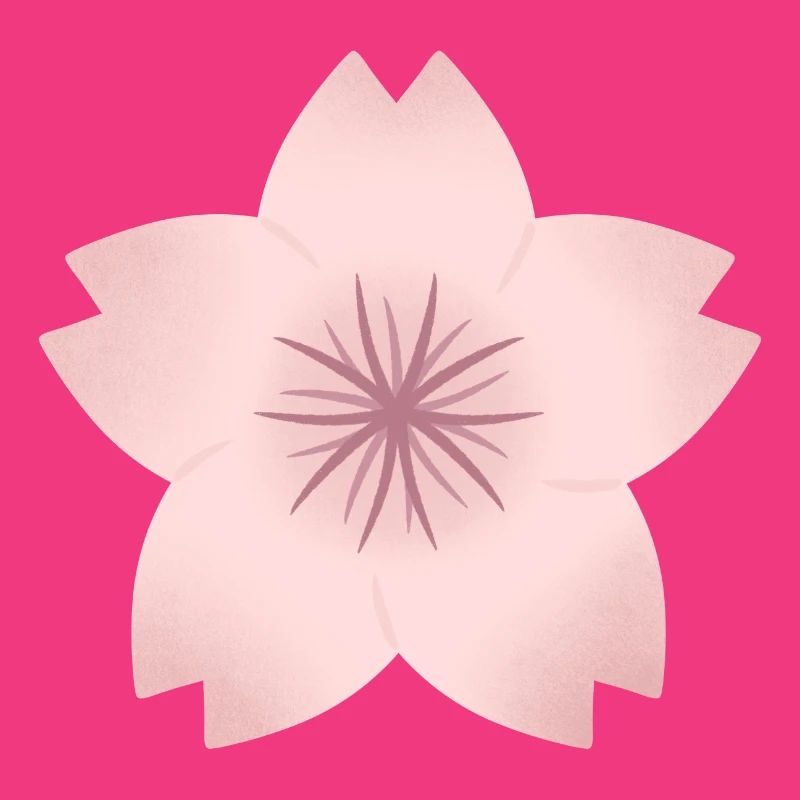 Blush Cherry Bloom