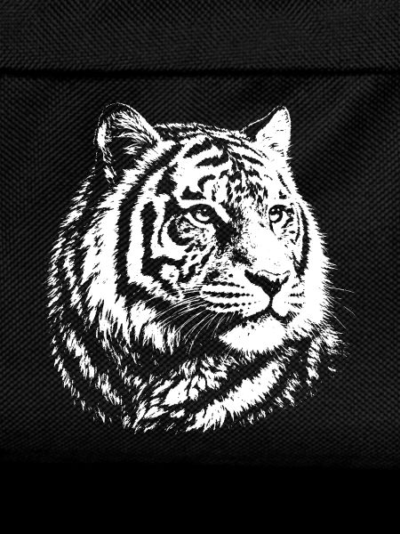 Tiger contrast portrait