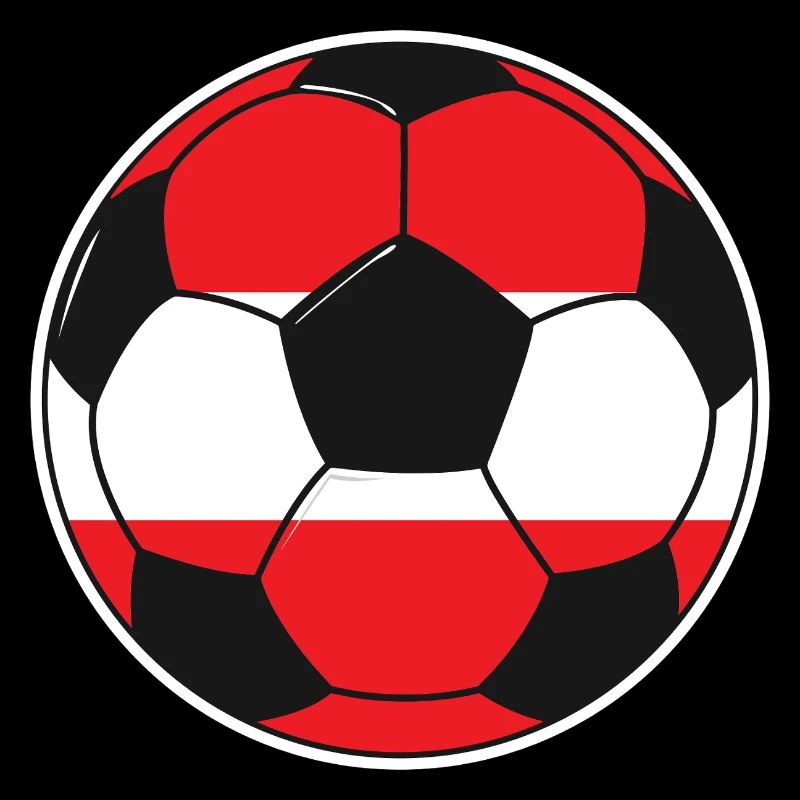 Fußball – Team Austria