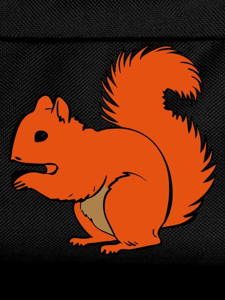 Eichhörnchen