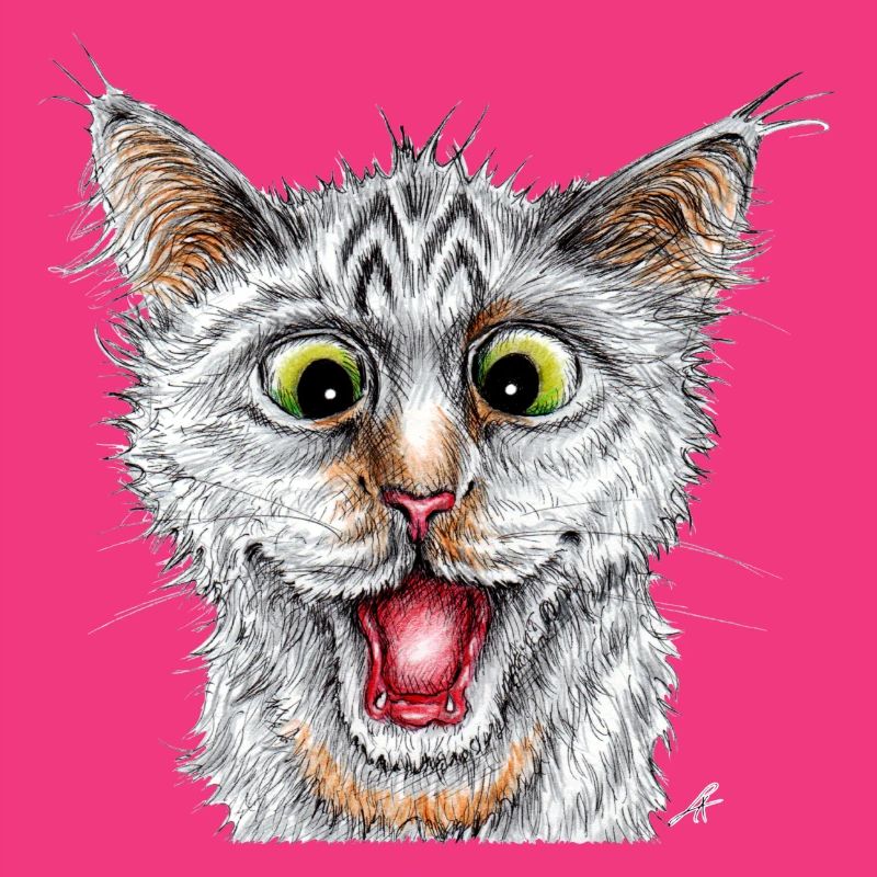 Chat heureux