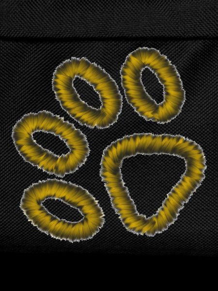 golden tiger paw