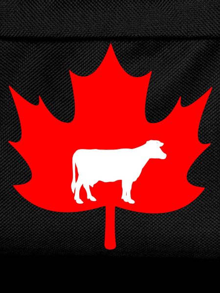 Canada maple leaf cow logo