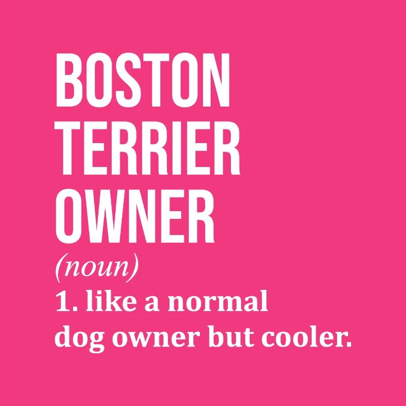 Boston Terrier