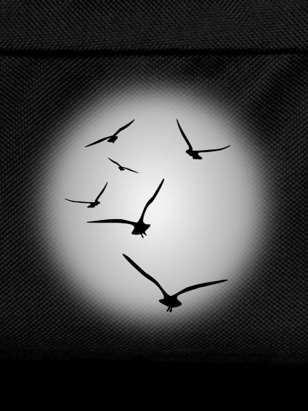 Silhouettes de mouettes sur gris