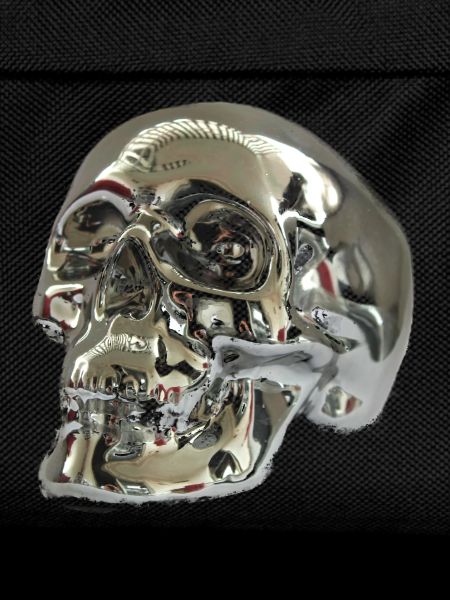 Silver skull