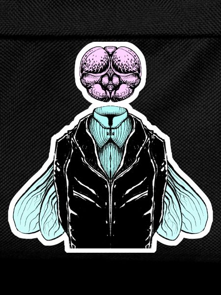 Tuxedo fly