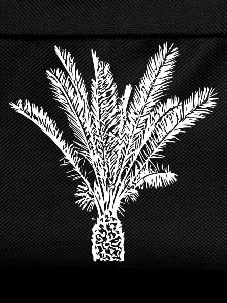 Palm Tree White