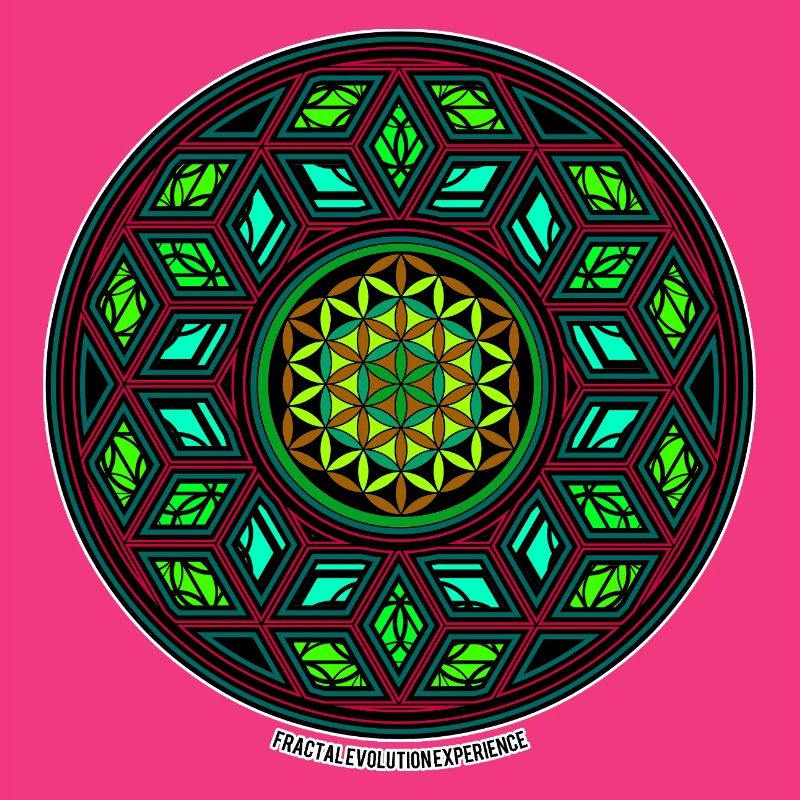 Fractal Evolution Kaleidoskop Mandala Muster Yoga