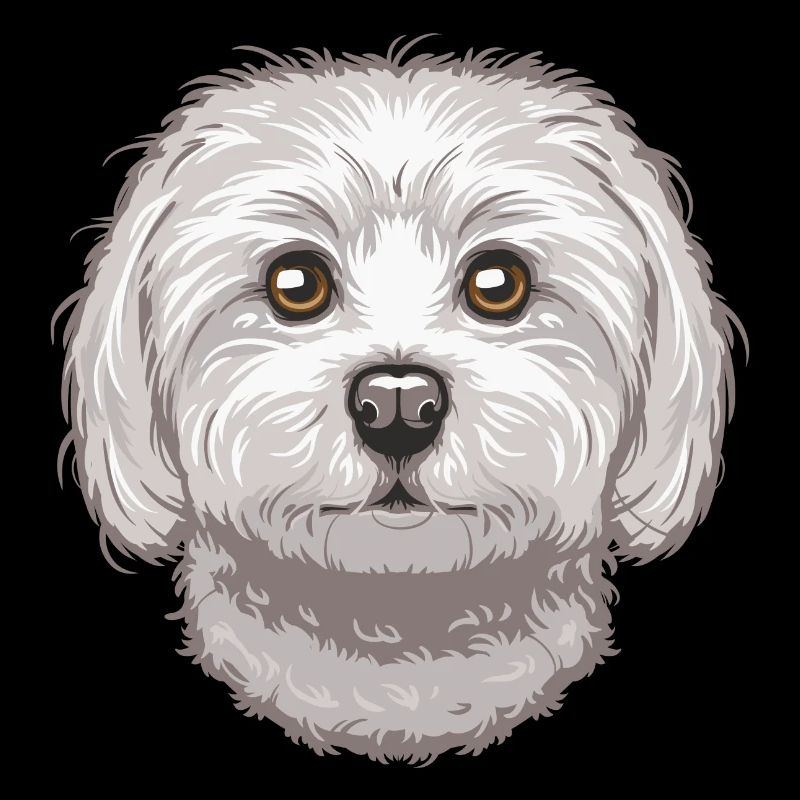 Maltese