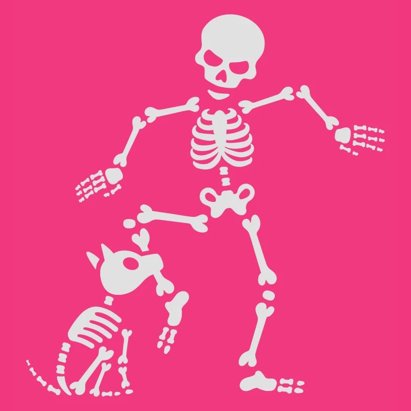 Dog like bones skeleton