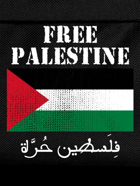 Free Palestine Flag