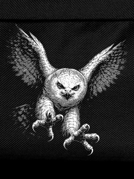 Snowy owl